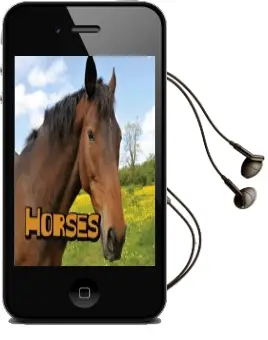 Horses Audiobook download free by Sheri Doyle