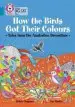 Audiobook How the Birds got Their Colours: Tales From the Australian Dreamtime: Band 13/Topaz author Helen Chapman
