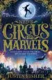 Audiobook Ned'S Circus of Marvels author Justin Fisher