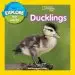 Audiobook Explore my World: Ducklings author Marfe Ferguson Delano