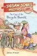 Audiobook Jigsaw Jones: The Case of the Bicycle Bandit author James Preller